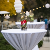 fahey-wedding-617